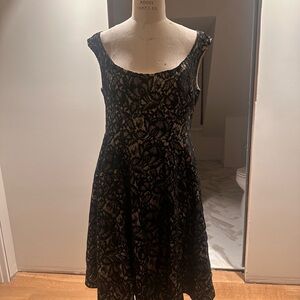 Black Lace Fit & Flare Mini Dress